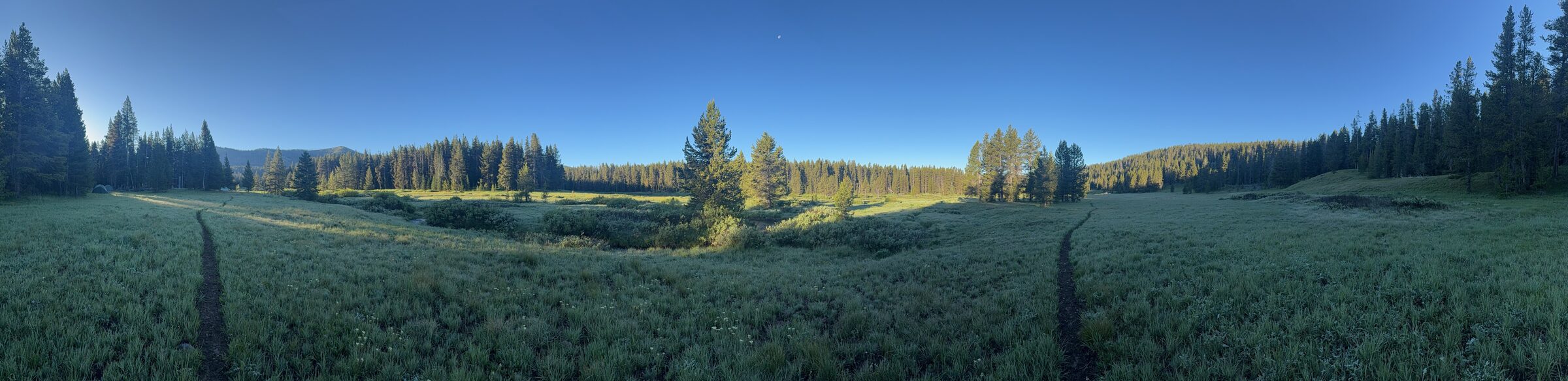 Panorama of a frosty dawn meadow with a trail through it